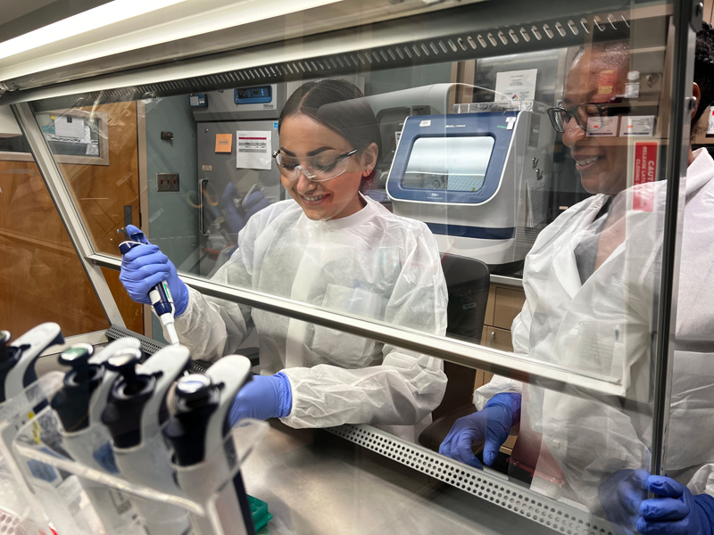Two laboratory workers in protective gowns and gloves use pipettes inside a biosafety cabinet with laboratory equipment visible in the background.